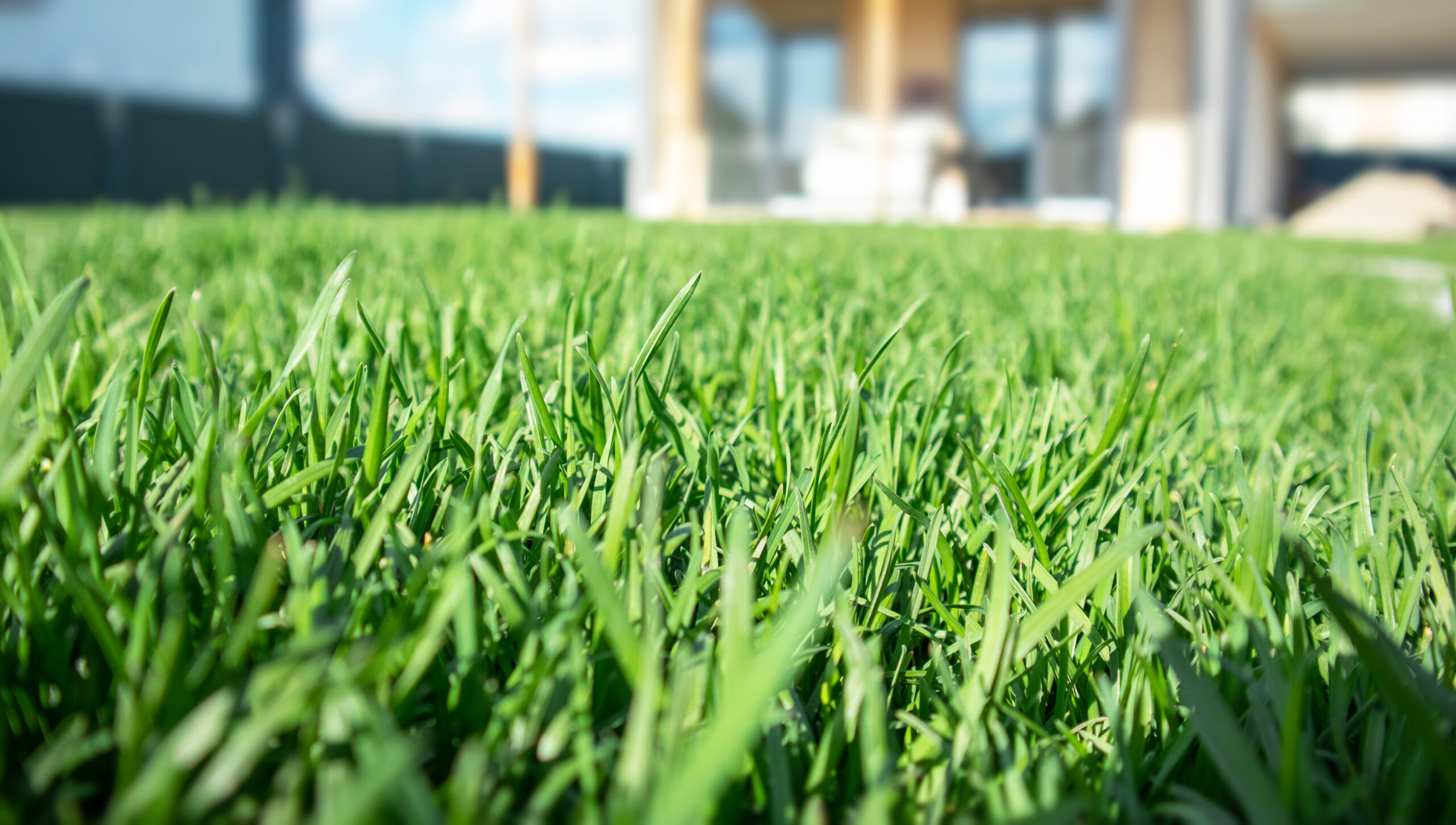 Florida lawn care blackout period