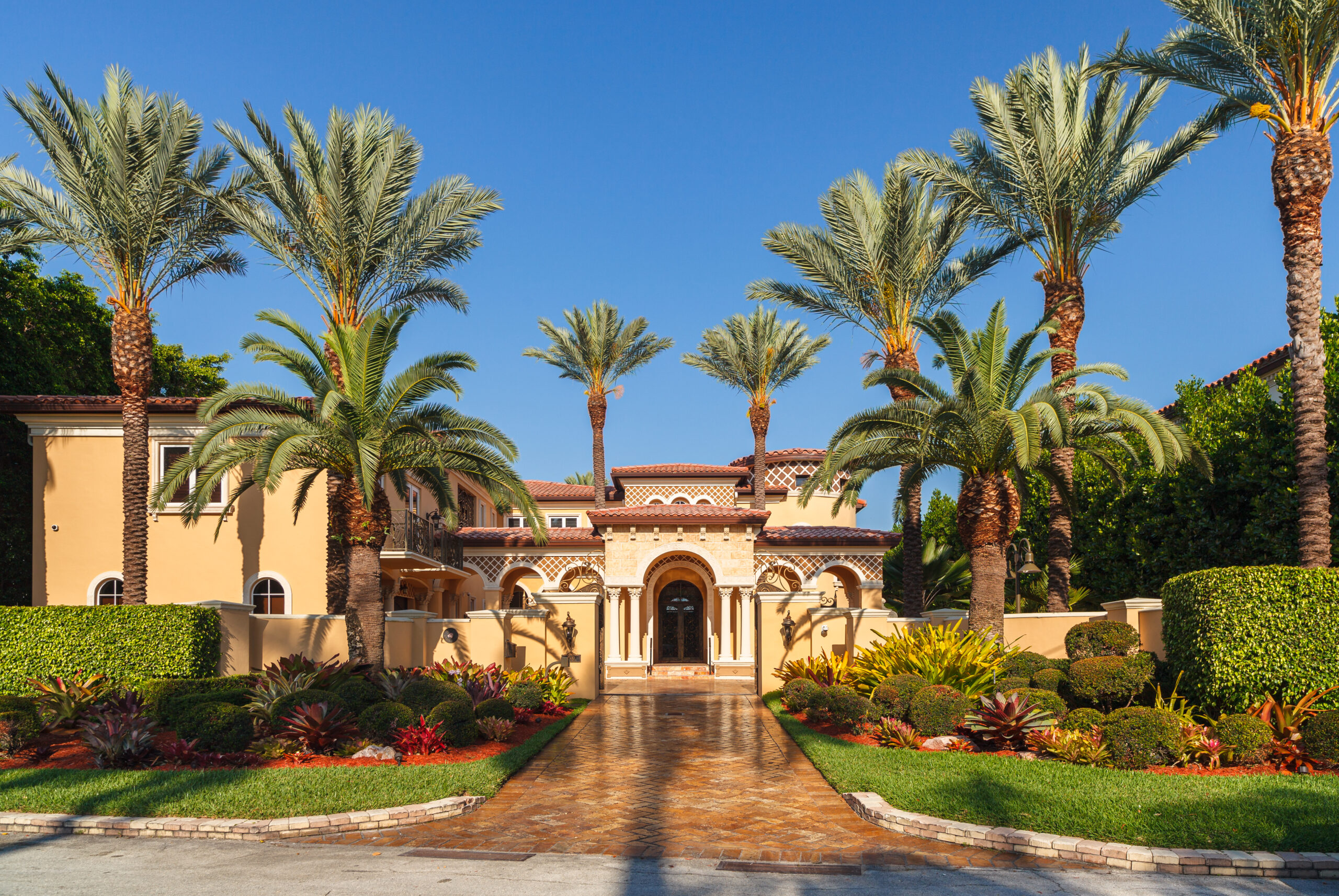 Grand estate with mature date palms